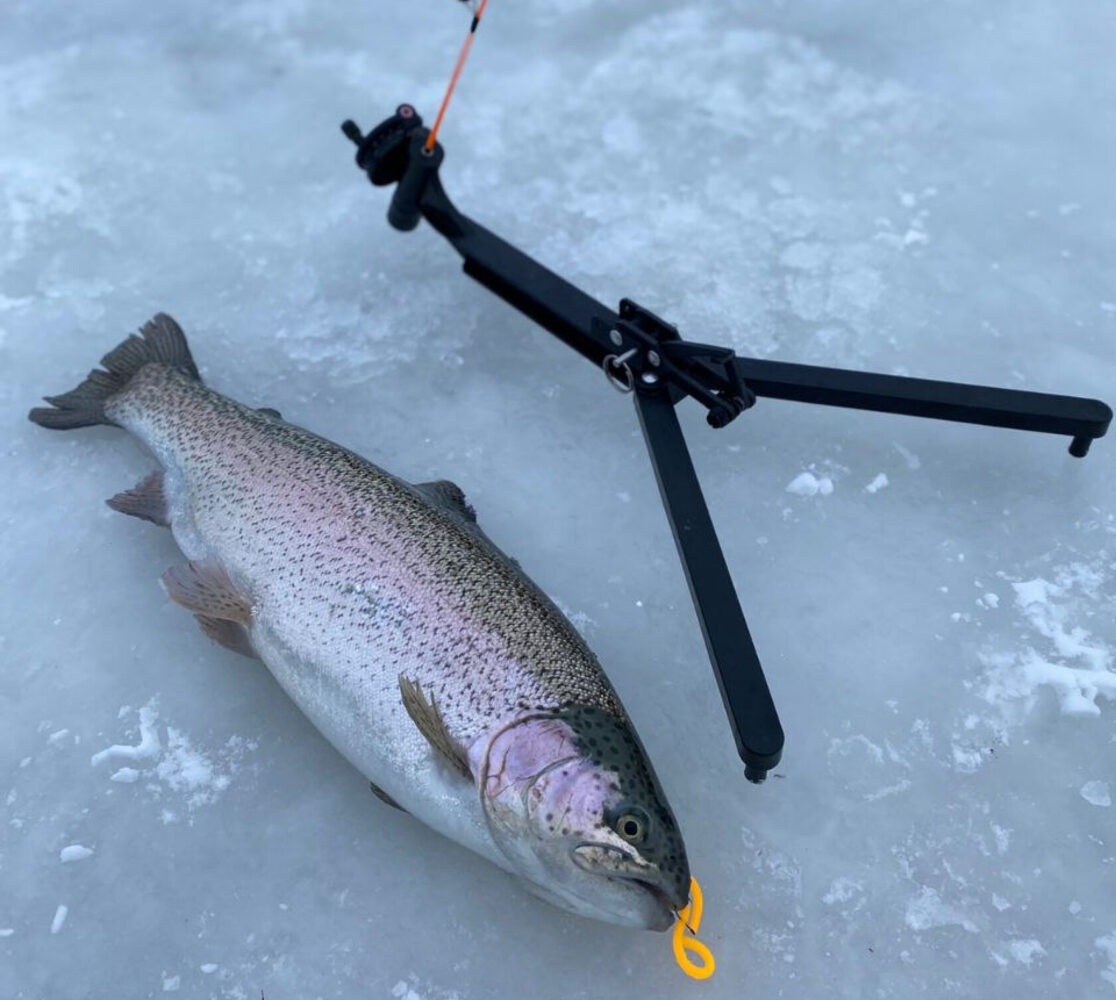 Самоподсекающая удочка ST-Fishing и форель на льду